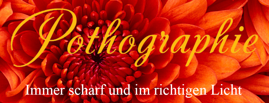 Immer scharf und im richtigen Licht